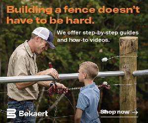 Special advertising offer